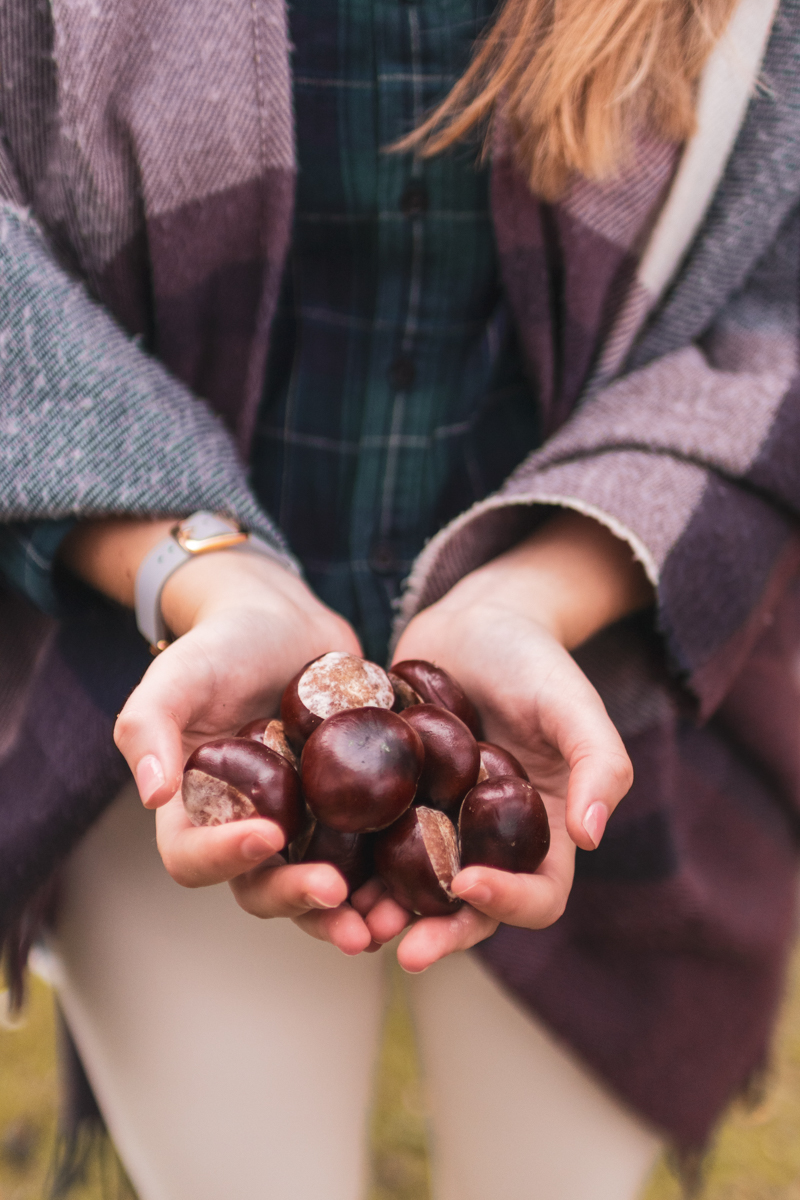 que faire avec des marrons non comestibles un creux de main rempli de marrons