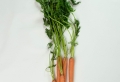 Recettes fanes de carottes – ne négligez plus ce produit précieux !