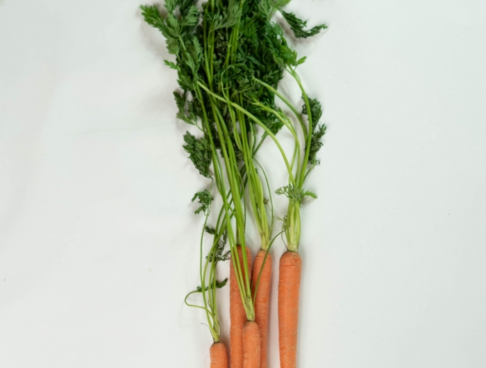 recette fanes de carottes une botte de quelques carottes