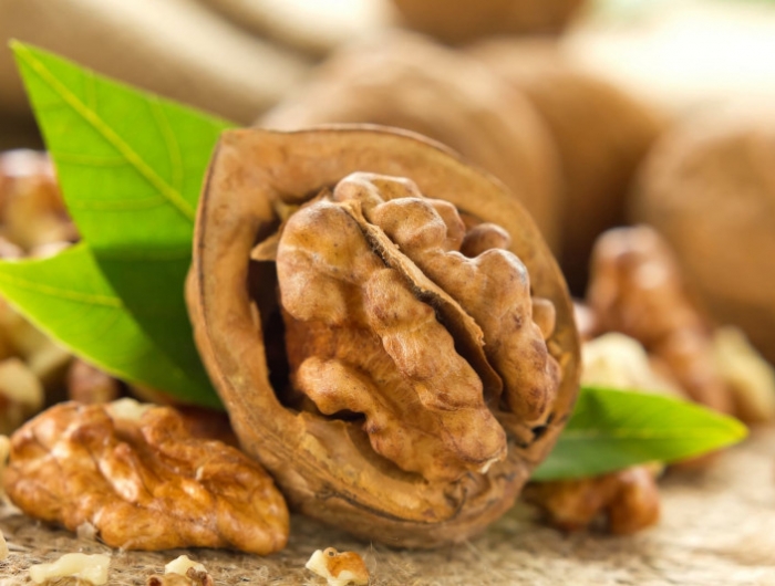 saison des noix comment ramasser et décortiquer les noix bénéfiques pour la santé