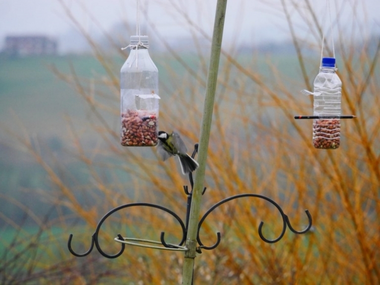 Fabriquer une mangeoire oiseaux en bouteille de plastique : tutos et