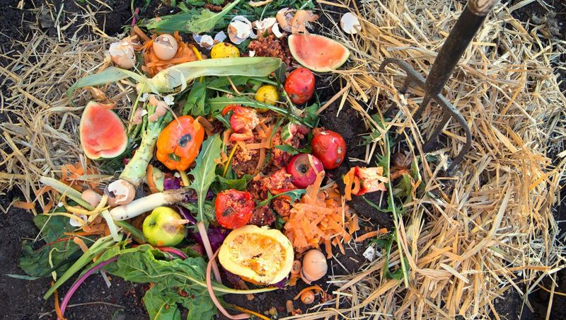 bac a composte déchets alimentaires dans un compost