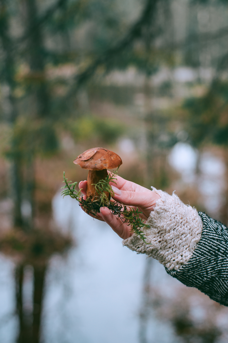 champignon frais une femme qui tient un champignon dans sa main