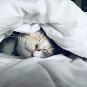 Dormir dans un lit d'appoint gonflable Intex - un sommeil au septième ciel