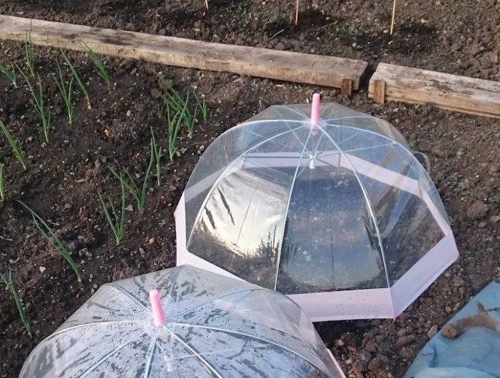 comment fabriquer des cloches de jardin activité manuelle récup avec parapluies pour créer une serre