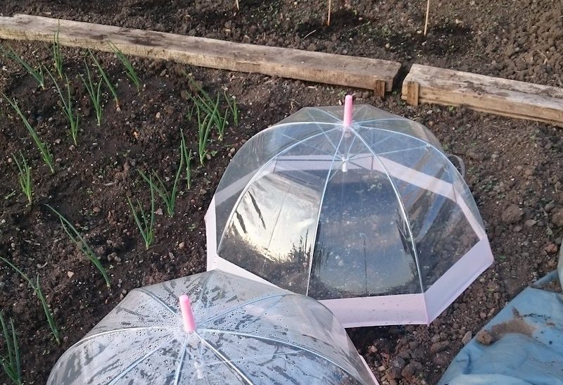 comment fabriquer des cloches de jardin activité manuelle récup avec parapluies pour créer une serre