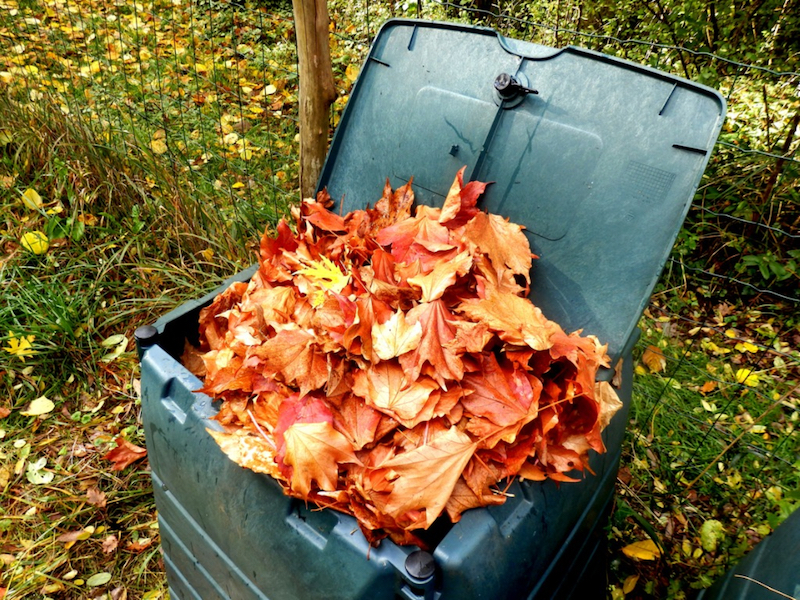 comment faire un compost nourrir le composteur de feuilles mortes