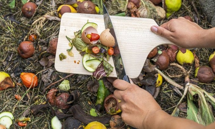 composteur jardin cusinier écologiquement mettre de l ordure dans le compost