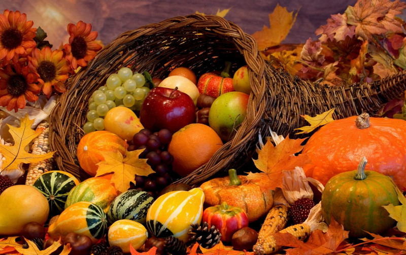 fruits et légumes de novembre