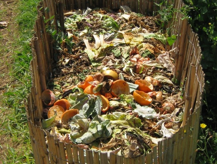 poubelle compost un grand composteur plein de produits alimentaires végétaux