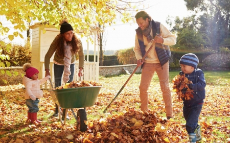 que faire avec des feuilles d automne comment ramasser feuilles