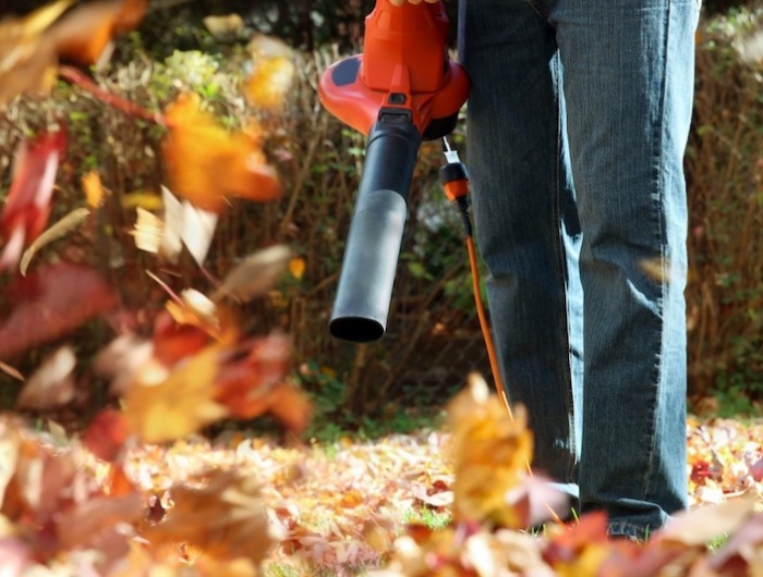 que faire avec des feuilles d automne ramasser avec souffleur