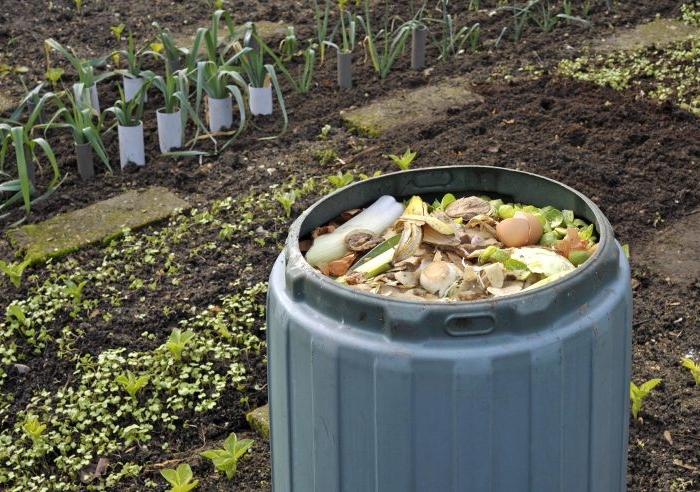 que mettre dans le compost composteur dans le jardin