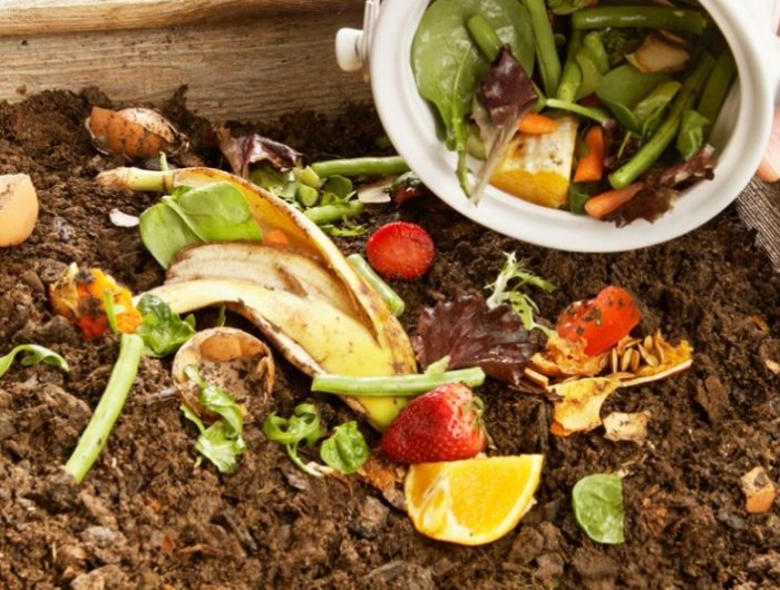 que mettre dans un composteur produits alimentaires dans un compost