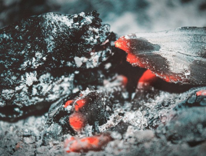 quoi mettre dans un composteur cendres de charbon de bois