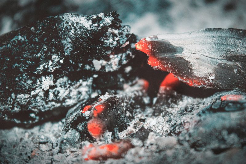 quoi mettre dans un composteur cendres de charbon de bois