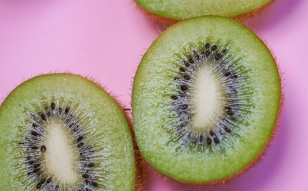 saison des kiwis idée comment conserver faire murir ramasser