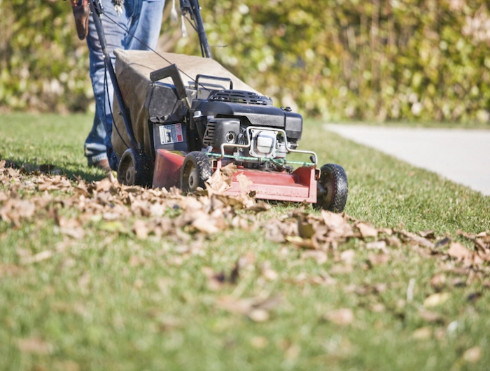 tondre le gazon avec des feuilles mortes idée ramassage de feuilles mortes