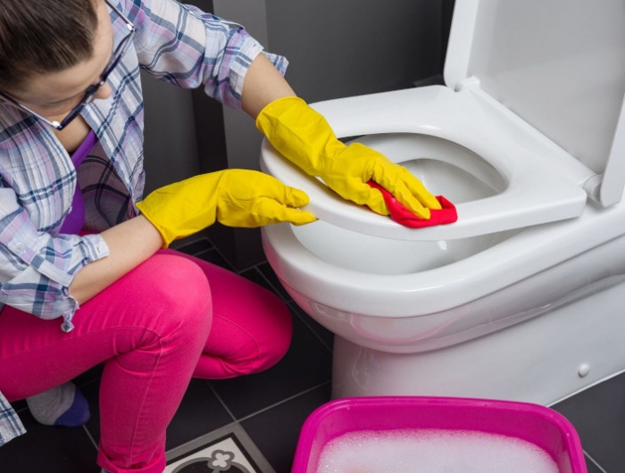 acide citrique wc produit maison efficace pour des toilettes toutes blanches