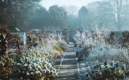 astuces pour hiverner son jardin plusieurs idees pour proteger ses plantations