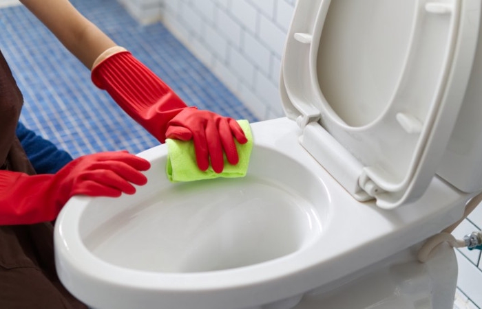 comment enlever du tartre incrusté dans les toilettes avec des produits domestiques
