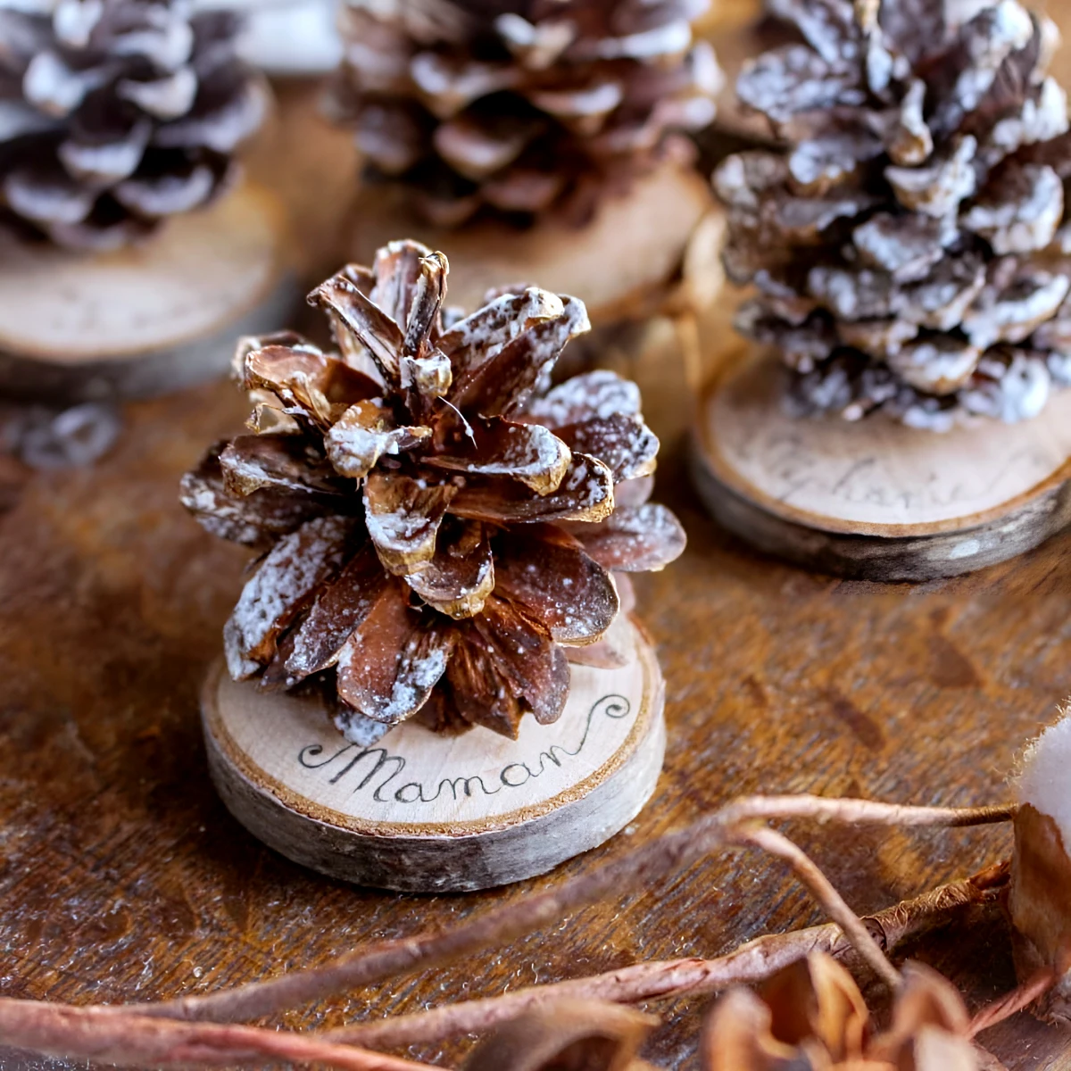 deco de noel avec des pommes de pin