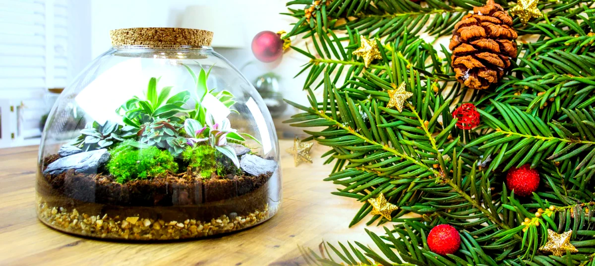 decoration de noel type terrarium a fabriquer tout seul a la maison