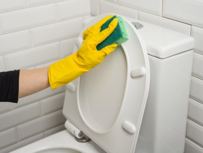 dertrer toilette bien nettoyer avec des produits naturels sans composants chimiques