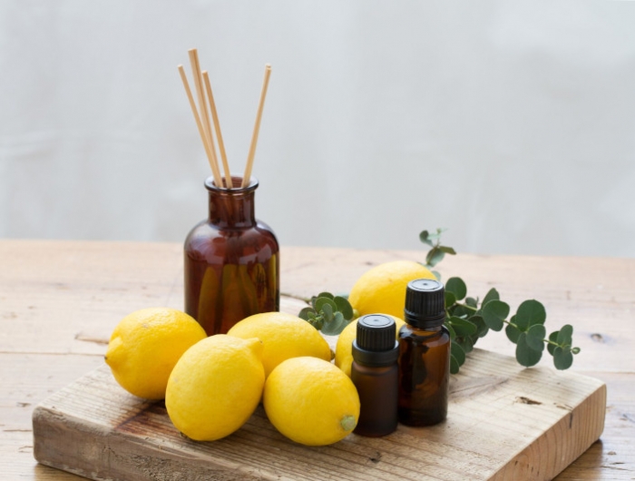 détoxifier son corps a l aide de citron et miel remedes naturels pour eliminer les toxines