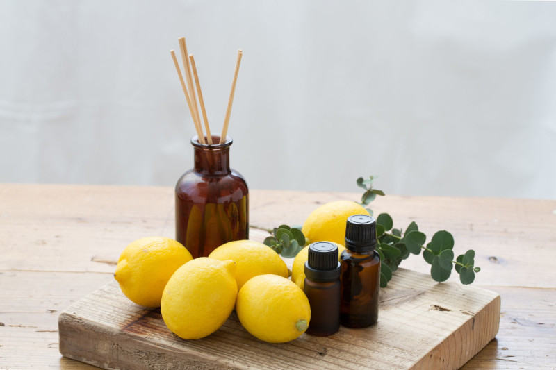 détoxifier son corps a l aide de citron et miel remedes naturels pour eliminer les toxines