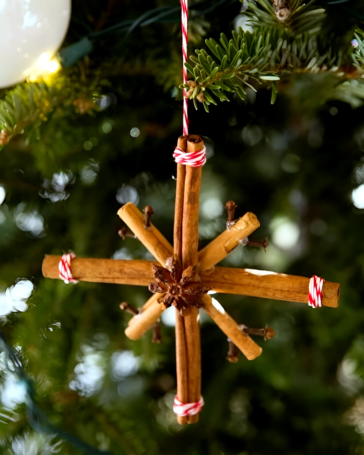 etoile avec des branches de cannelle deco de noel naurelle