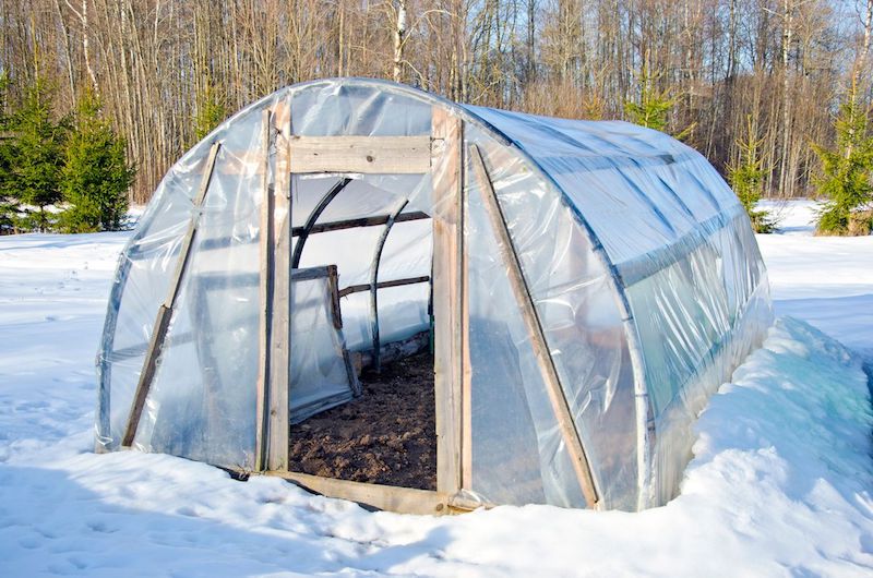 fabriquer une serre de jardin en decembre pour planter des legumes d hiver