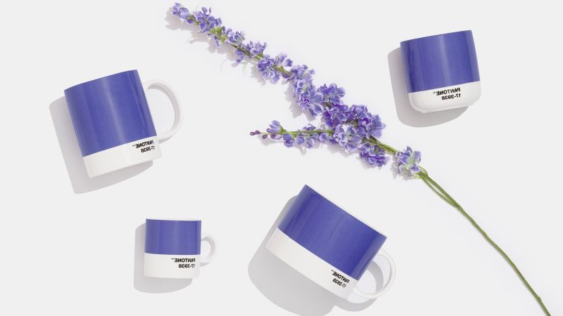 fleur couleur violette tasses en very peri pour votre maison