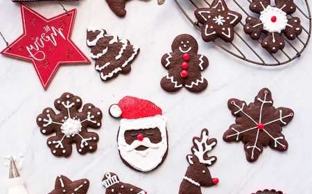 idee pour faire un biscuit pain d epice u chocolat avec cacao et decoration glacage blanc et rouge en emrte pieces motifs de noel