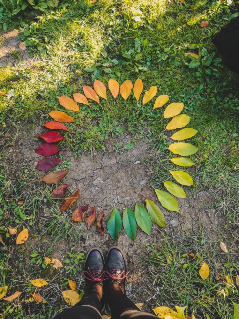 Feuilles qui jaunissent causes et remèdes pour avoir de belles plantes