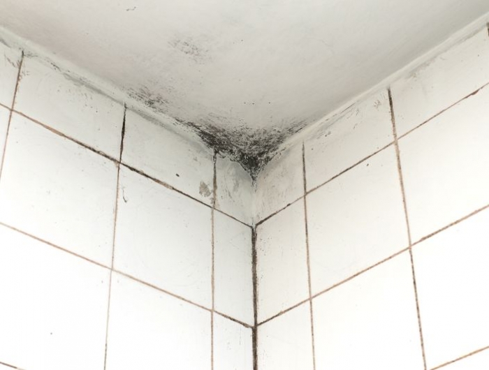 bathroom tiles and ceiling with mold