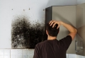 Comment nettoyer facilement les moisissures sur un mur ?