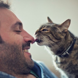 Odeur Qui Fait Fuir Les Rats 8 Idees A Tester Sans Tarder