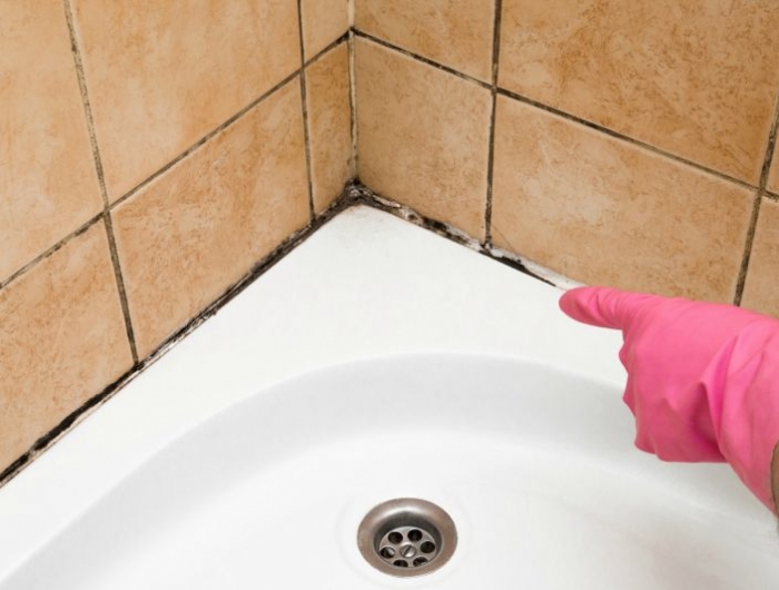 produit anti moisissure joints moisis dans la salle da bains