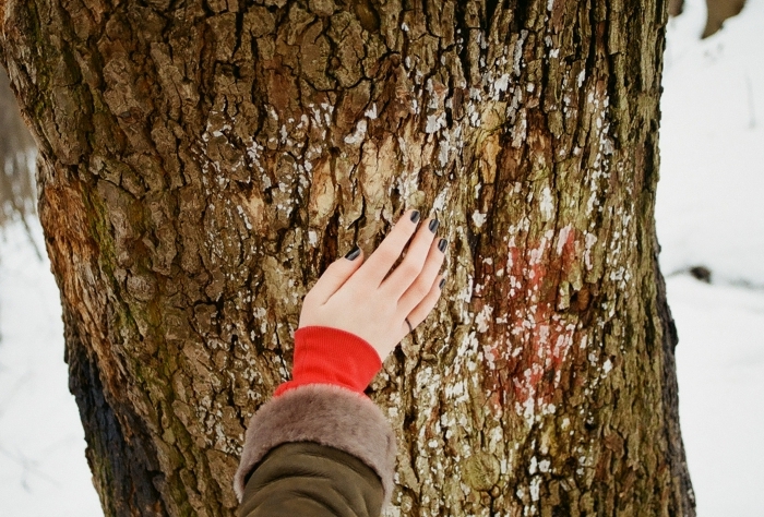 promenade nature paysage enneigé arbre main femme manucure ongles noirs