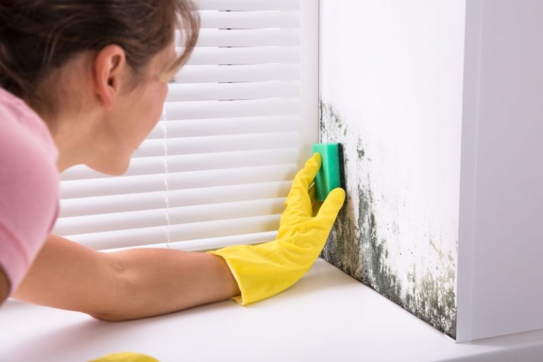 Comment nettoyer facilement les moisissures sur un mur