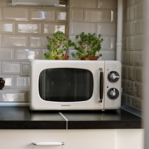 Choses à ne jamais mettre au micro-ondes : 22 matériaux et aliments à éviter
