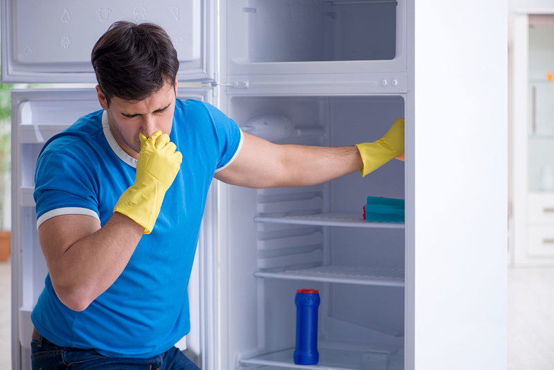anti odeur frigo placer du bicarbonate de soude ou un citron pour eliminer les odeurs