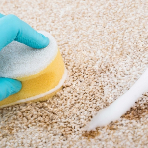 Nettoyage au bicarbonate de soude : 25 usages pratiques au quotidien