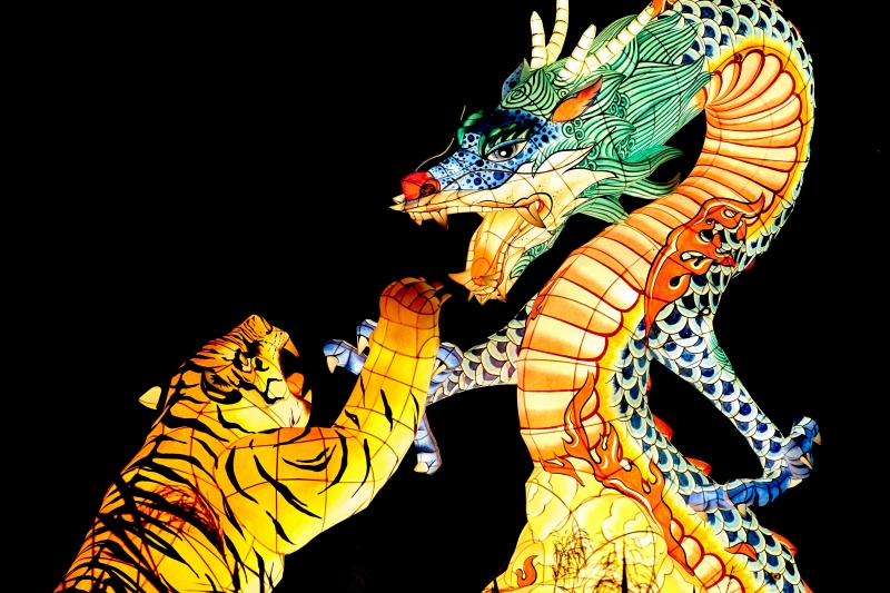 horoscope chinois 2022 signes animaux tigre eau naissance