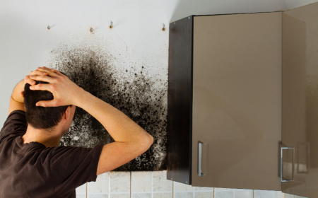 humidité maison dommages sur les meubles les murs et le plancher réparations couteuses