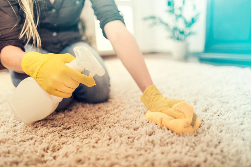 nettoyer tapis poil long sans produits chimiques redonner du volume au tapis