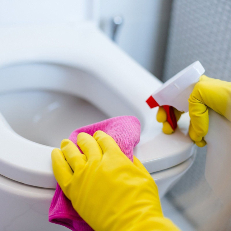nettoyer toilettes très entartrées a l aide de produits maison sans danger