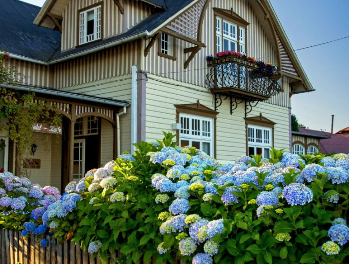 parterre de fleurs bleues autour d une palissade au devant de la maison