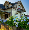 parterre de fleurs bleues autour d une palissade au devant de la maison